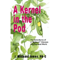 A Kernel in the Pod - Paperback