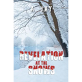 Revelation at the Snows - Paperback