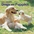 All about Dogs and Puppies - Paperback