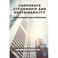 Corporate Citizenship and Sustainability: Measuring Intangible, Fiscal, and Ethical Assets - Paperback