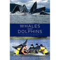 Whales and Dolphins: Cognition, Culture, Conservation and Human Perceptions - Paperback
