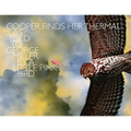 Cooper Finds Her Thermal: As Told to George Miller by a Little Pink Bird - Paperback
