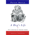 A Dog's Life - Paperback