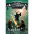 Rogue Knight - Paperback