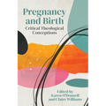 Pregnancy and Birth: Critical Theological Conceptions - Paperback