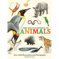 The Encyclopedia of Animals: More Than 1,000 Illustrations and Photographs - Hardcover