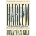 Harlem: The Four Hundred Year History from Dutch Village to Capital of Black America - Paperback