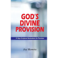 God's Divine Provision (31 Days Scriptural Declarations for Provision) - Paperback