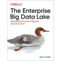 The Enterprise Big Data Lake: Delivering the Promise of Big Data and Data Science - Paperback