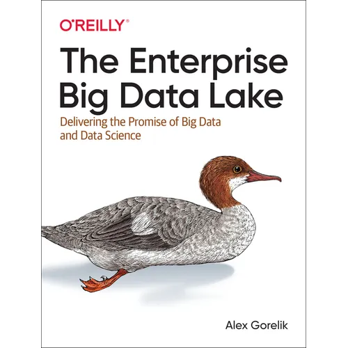 The Enterprise Big Data Lake: Delivering the Promise of Big Data and Data Science - Paperback