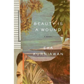 Beauty Is a Wound - Paperback