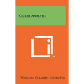 Credit Analysis - Hardcover