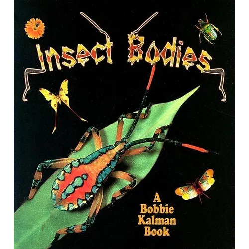 Insect Bodies - Paperback
