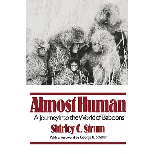 Almost Human: A Journey Into the World of Baboons - Paperback