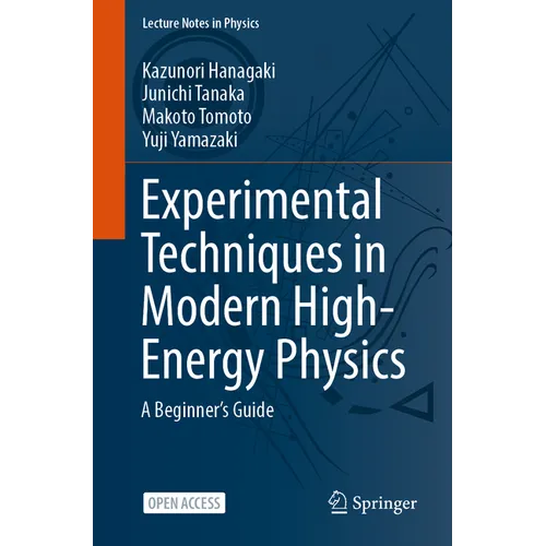Experimental Techniques in Modern High-Energy Physics: A Beginner's Guide - Paperback