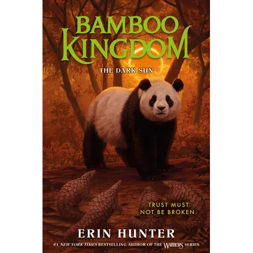 Bamboo Kingdom #4: The Dark Sun - Hardcover