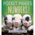 Pocket Piggies Numbers!: Featuring the Teacup Pigs of Pennywell Farm - Board Book