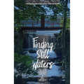 Finding Still Waters: The Art of Conscious Recovery - Paperback
