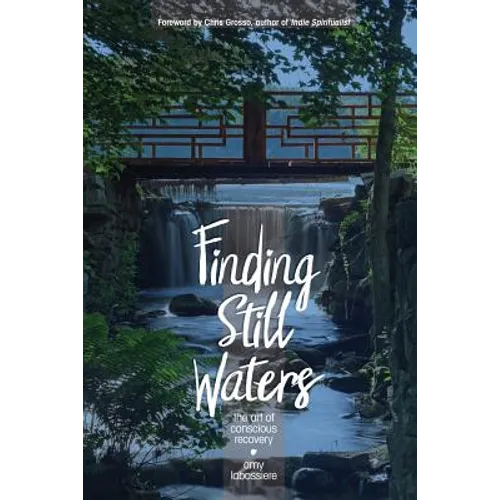 Finding Still Waters: The Art of Conscious Recovery - Paperback
