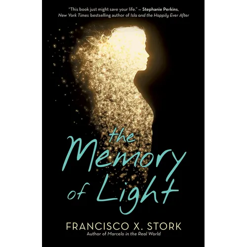 The Memory of Light - Paperback