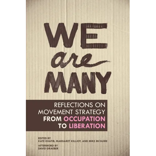 We Are Many: Reflections on Movement Strategy from Occupation to Liberation - Paperback