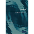 Yiddish: A Linguistic Introduction - Paperback