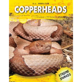 Copperheads - Library Binding