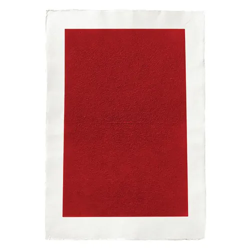 Kees Visser: Monochromes - Paperback