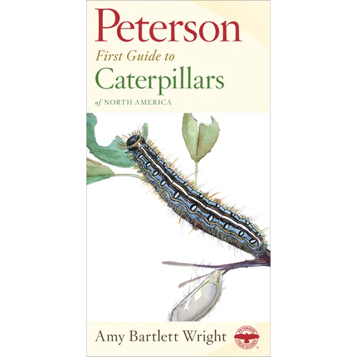 Peterson First Guide to Caterpillars of North America - Paperback