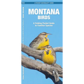 Montana Birds: A Folding Pocket Guide to Familiar Species