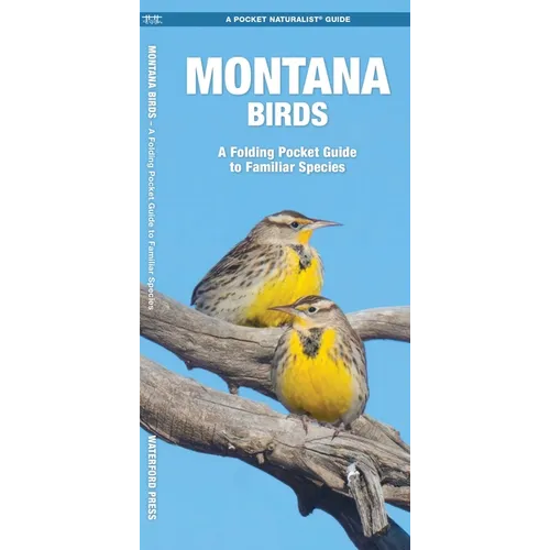 Montana Birds: A Folding Pocket Guide to Familiar Species