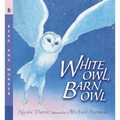 White Owl, Barn Owl: Read and Wonder - Paperback