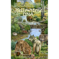 Yellowstone DNA: A Tale of Wolves, Wildlife and Humans - Paperback