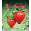 Strawberries - Paperback