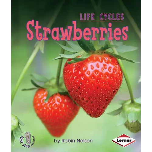 Strawberries - Paperback
