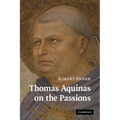 Thomas Aquinas on the Passions: A Study of Summa Theologiae, 1a2ae 22 48 - Paperback
