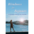 Blindness for Beginners: A renewed vision of the possible - Paperback