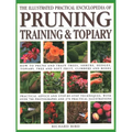 Illustrated Practical Encyclopedia of Pruning, Training and Topiary: How to Prune and Train Trees, Shrubs, Hedges, Topiary, Tree and Soft Fruit, Climb - Paperback