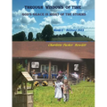 Through Windows of Time: God's Grace in Midst of the Storms - Paperback
