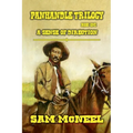 Panhandle Trilogy - A Sense of Direction - Paperback