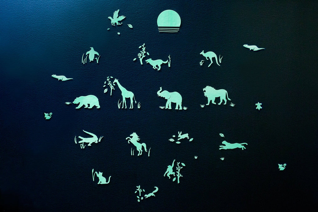 Animal Ⅱ