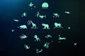 Animal Ⅱ