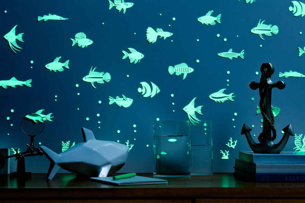 Tropical Fish