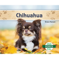 Chihuahuas (Spanish Version) - Library Binding