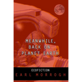 Meanwhile, Back on Planet Earth - Paperback