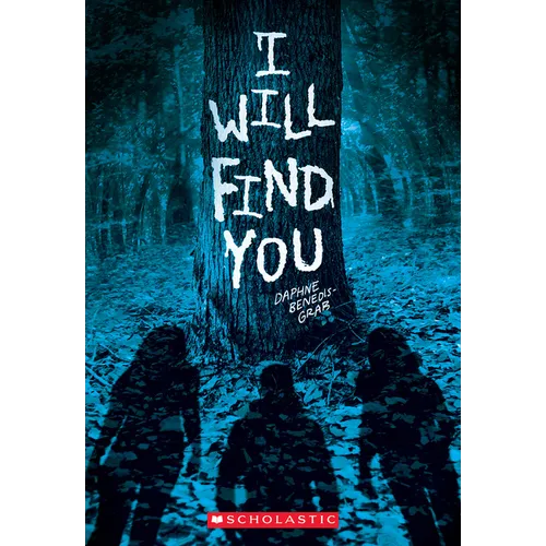 I Will Find You (a Secrets & Lies Novel) - Paperback