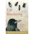 Life Everlasting: The Animal Way of Death - Paperback