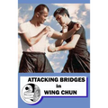 Attacking bridges in Wing Chun - Paperback