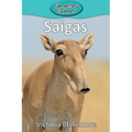 Saigas - Paperback