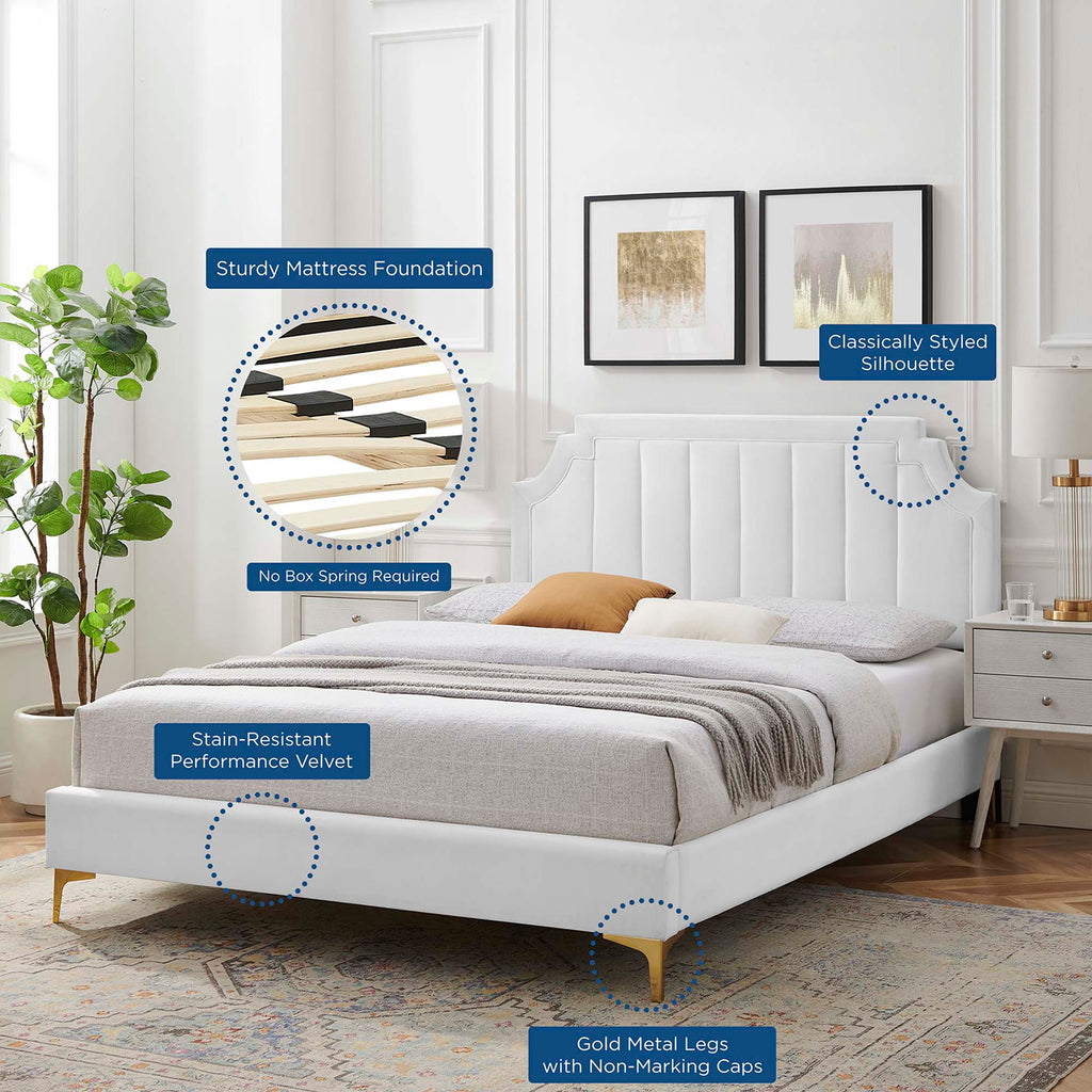 Sienna Performance Velvet King Platform Bed by Modway - MOD-6918